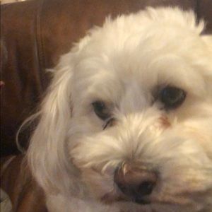 Meet your Posher, Aaron